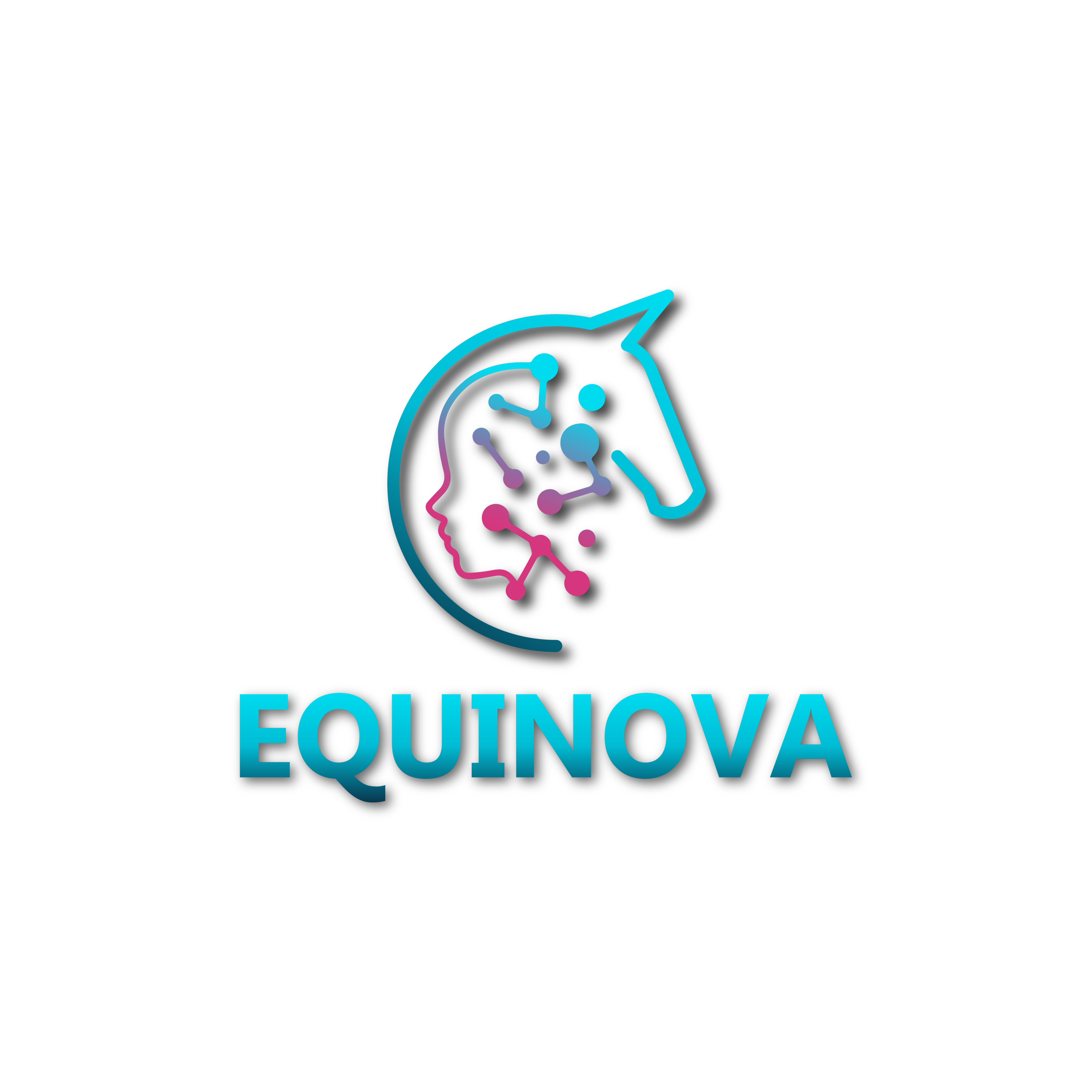 Equinova Logo